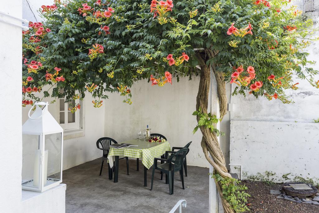 Family House Garden * Ponta Delgada